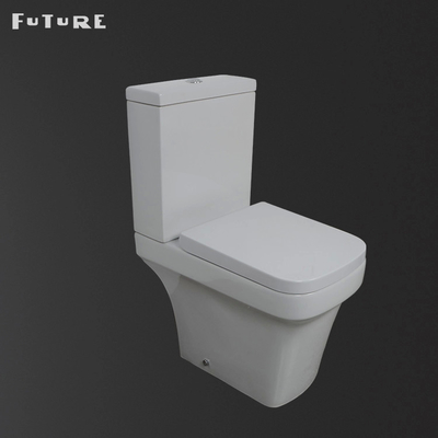 P Trap Mute Flushing Close حمام مزدوج مقرن مرحاض مثبت على الأرض مرحاض ISO9001