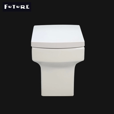 Washdown Flushing Square مغلق المرحاض المقترن العودة إلى الحائط Wc صديقة للبيئة